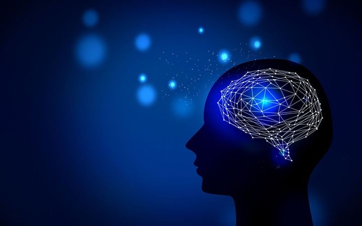 脳内のイメージ