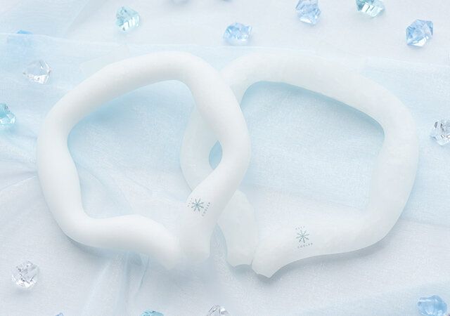 宝島社ネッククーラー付録レビュー2024