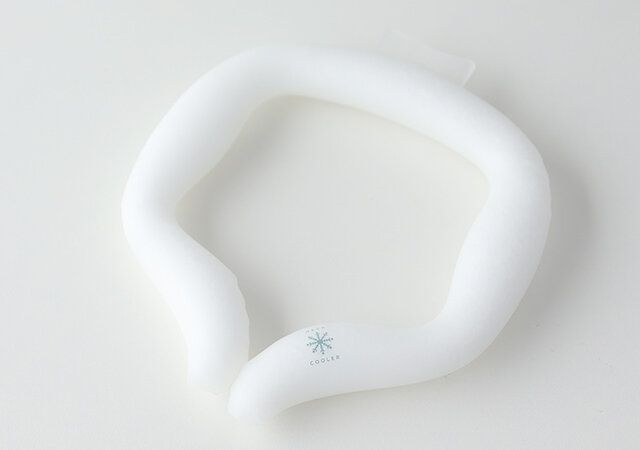 宝島社ネッククーラー付録レビュー五角形