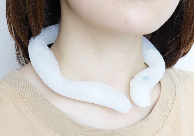 宝島社ネッククーラー付録レビューLサイズ