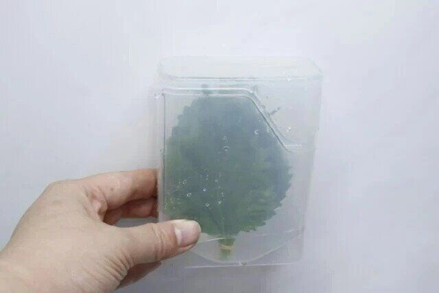 大葉保存ケース