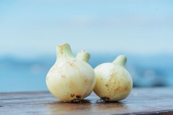 南あわじ市特産品たまねぎの画像