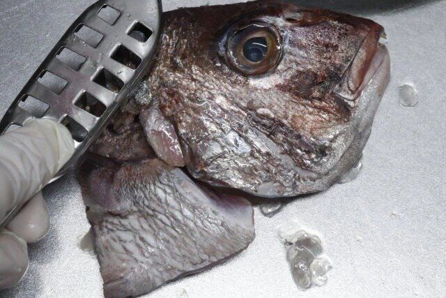 ダイソーのアイディア系キッチングッズまとめ