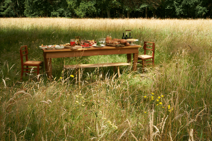 優しい風と明るい日差しを感じながらのピクニックは自然が与えてくれる最高の贅沢。 Photo_ MPMorel