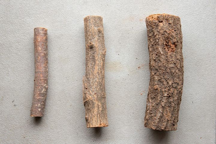 初心者キャンパーも安心！焚き火におすすめの薪をわかりやすく解説！