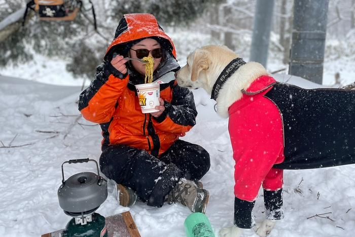 ラブラドールレトリーバーと雪中キャンプ