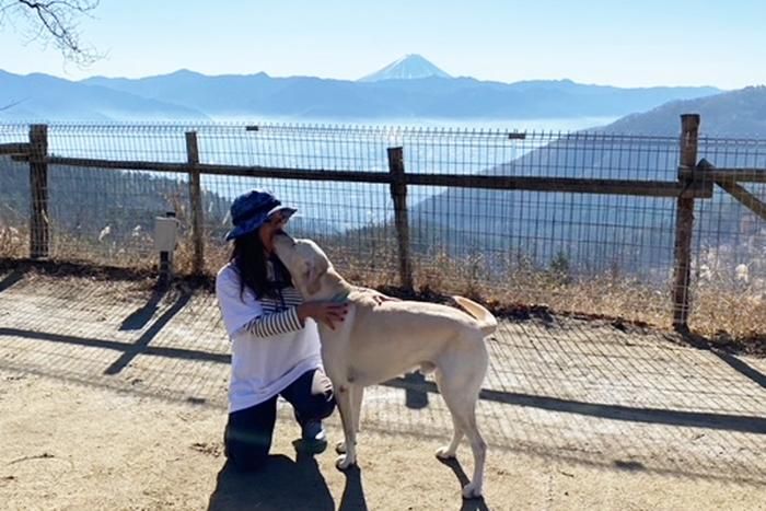 ラブラドールレトリバーと女性