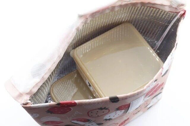 舟形ケース 北欧 フルーツアニマルランチ使用例