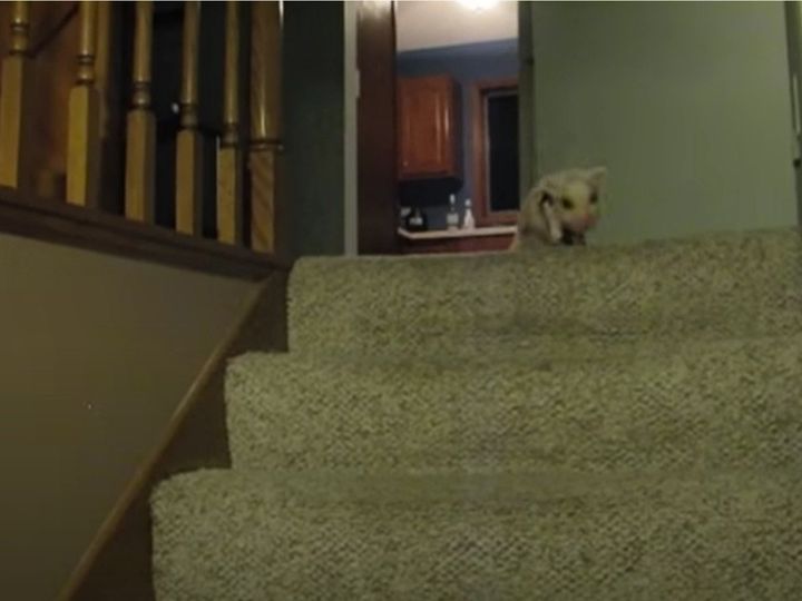 最後のアクションが…！