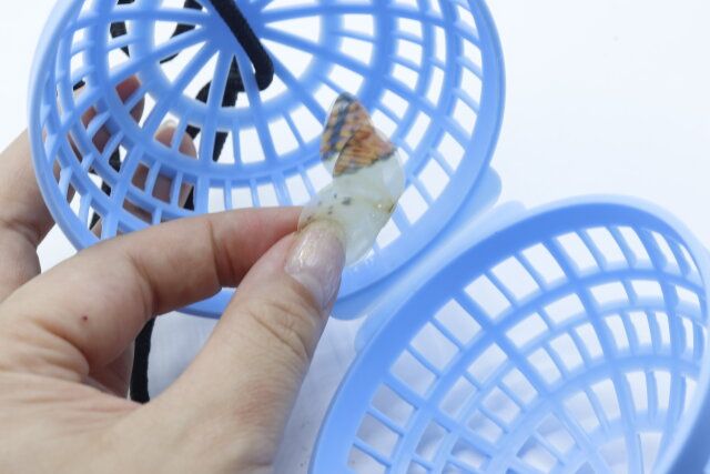 セリアの1匹虫かごに虫を入れる様子