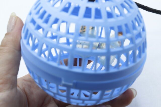 セリアの1匹虫かごに虫を入れた様子