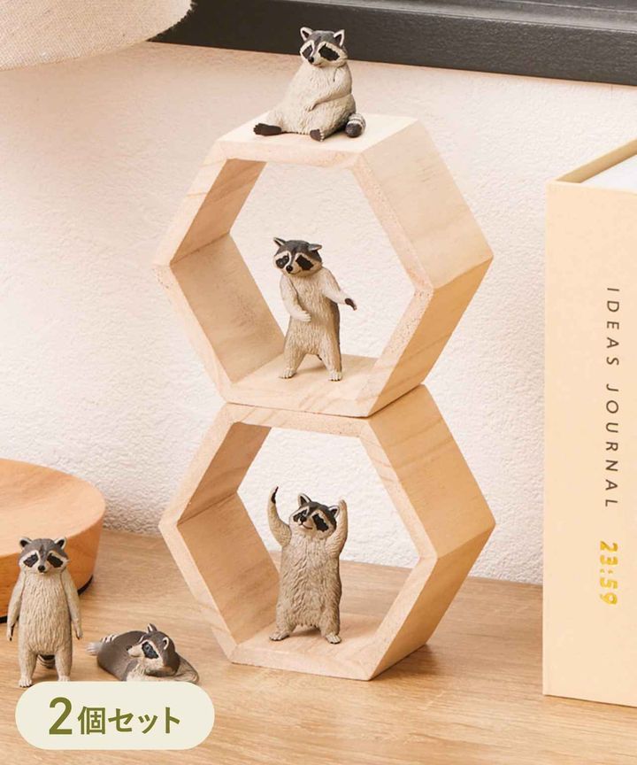 画像4: 出典：3COINS