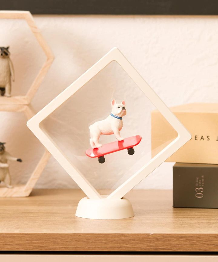 画像1: 出典：3COINS