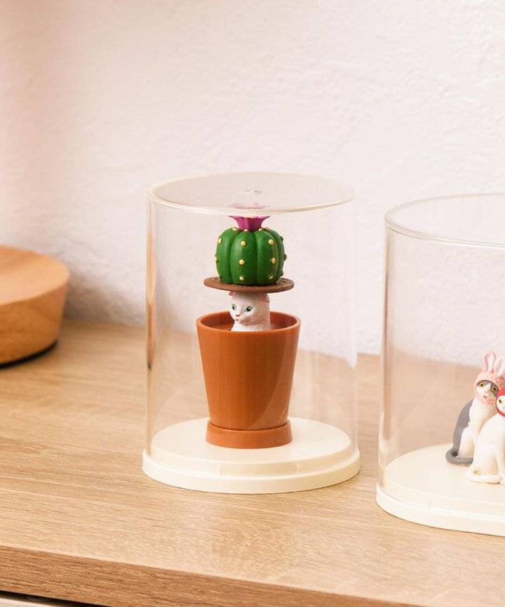 画像2: 出典：3COINS