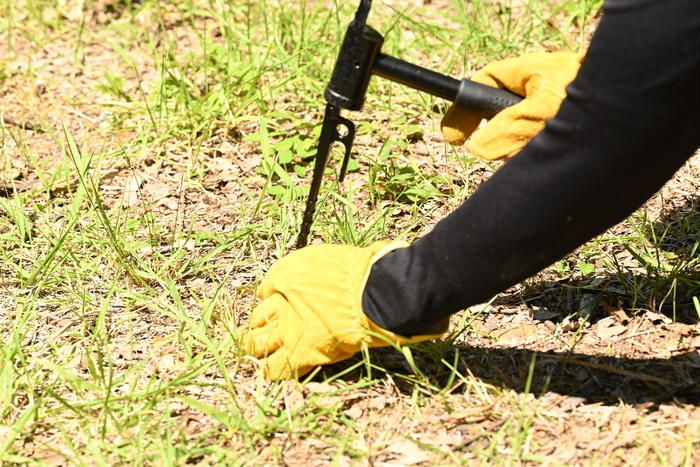 地面にワークマン電動ドライバー対応スクリューペグを打ち込んでいる様子