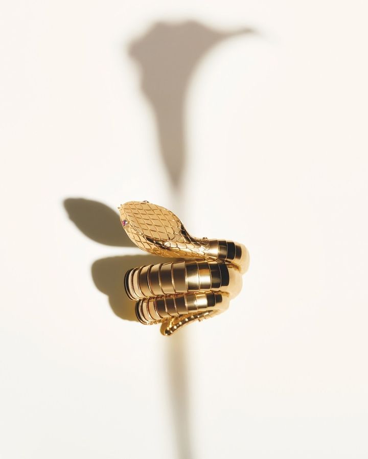 インスピレーションの一部『セルペンティ』のヘリテージウォッチ