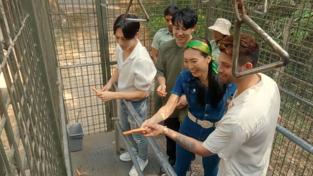 動物とのふれあいを楽しむサファリデート