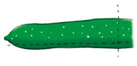 お盆のお供えに変わり種。子ども向けにデザインをアップデートした「新幹線と船の精霊馬」はいかが？の画像2