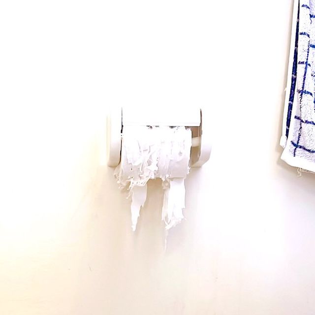 猫にボロボロにされたトイレットペーパー