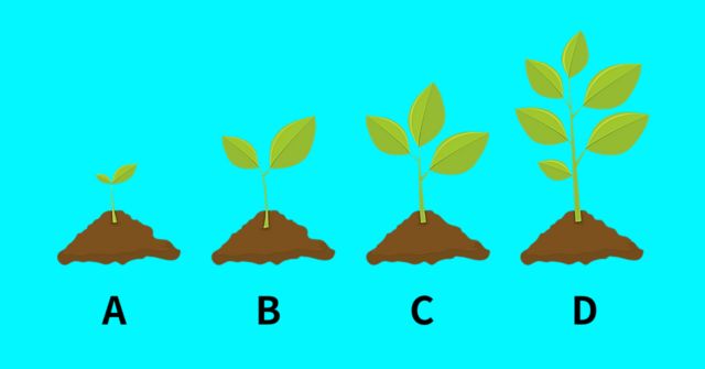 芽の大きさは？あなたにぴったりの「職場環境」がわかる心理テスト