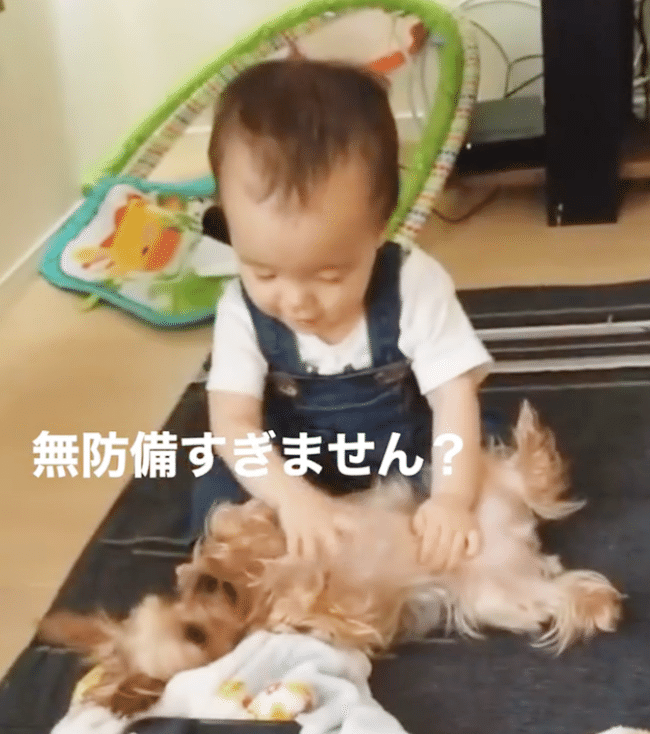 無防備すぎる犬わんちゃんと赤ちゃん♡