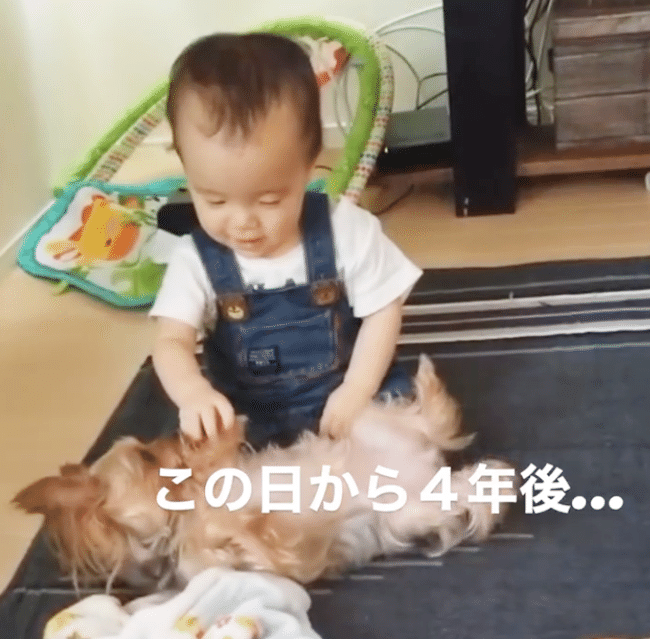 無防備すぎる犬わんちゃんと赤ちゃん♡