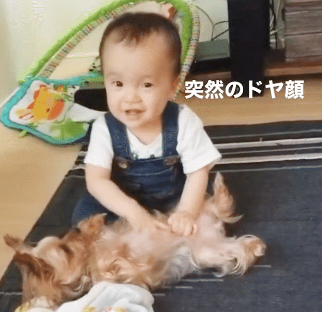 無防備すぎる犬わんちゃんと赤ちゃん♡
