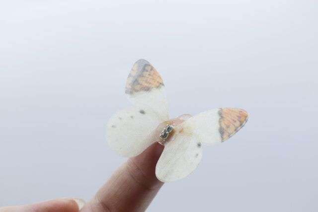 100均セリアのウォールステッカー5