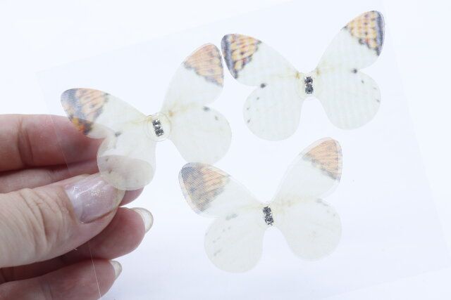 100均セリアのウォールステッカー3