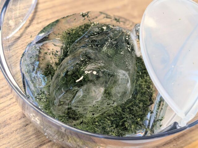 氷水出し緑茶と睡眠に関するセミナー