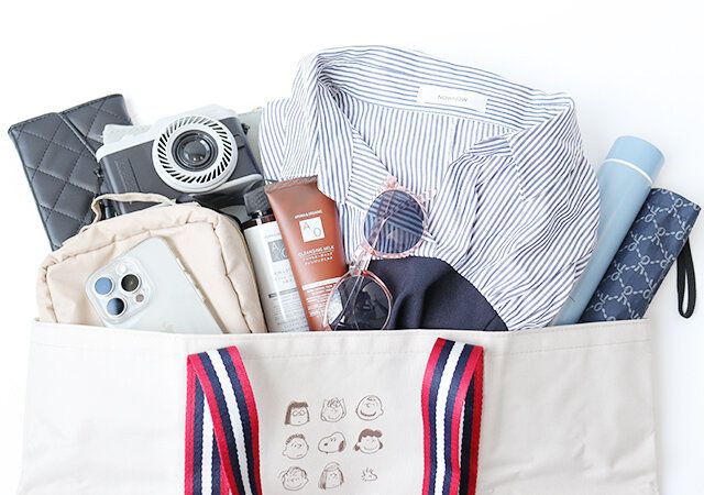 ビッグトート 使用例 1泊旅行