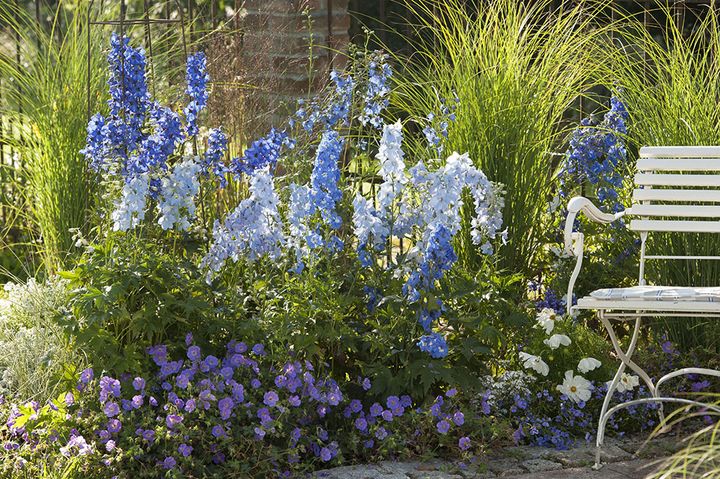 ブルー＆ホワイトの花壇