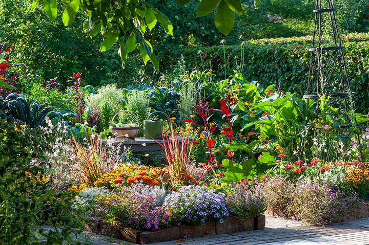 サマーガーデン