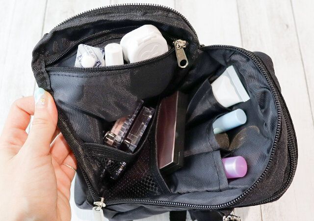 ブリルミー スマホショルダー 収納例