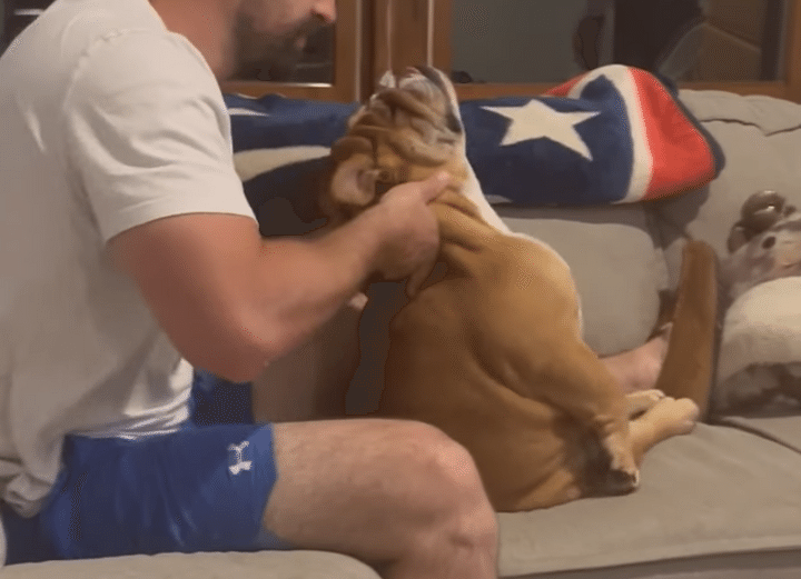 飼い主さんを信じているから！完全に身を任せる犬さん。