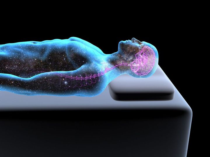 寝ている人の脳のイメージ