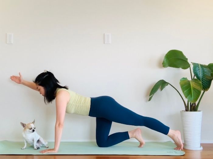 体幹ピラティス