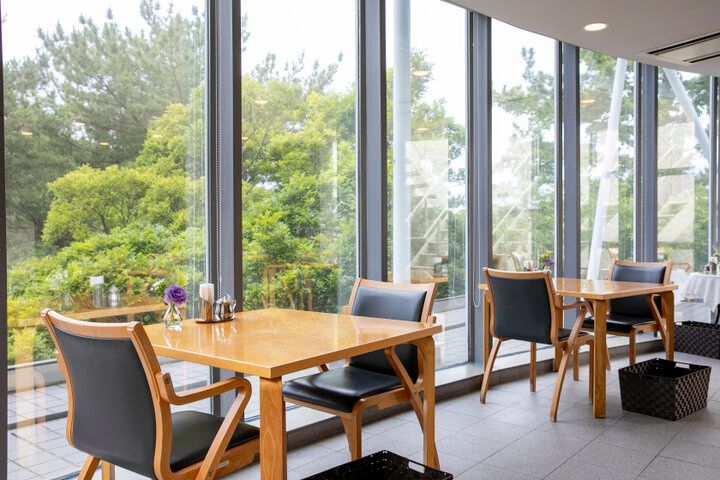 ミュシャ展も開催♪ 緑に囲まれた美術館&カフェを訪れる、小さな旅へ。「茅ヶ崎市美術館」