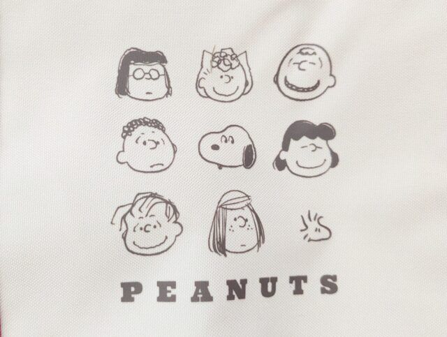 steady.(ステディ) 2024年8月号