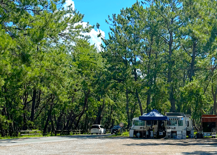 約100万本の松が生い茂る「虹の松原」。マイクロバスのキッチンカーで営業する「からつバーガー」も名物