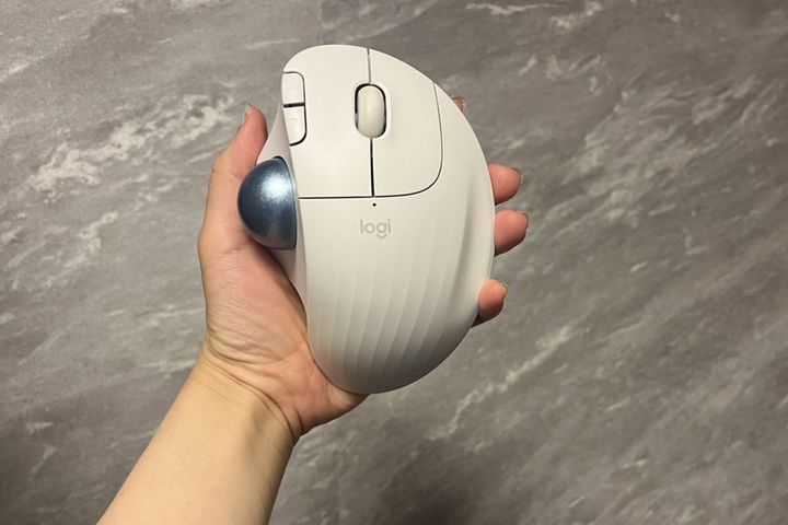 トラックボールマウス（筆者私物）