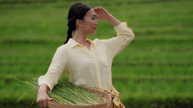 田んぼを見渡す亜樹さん
