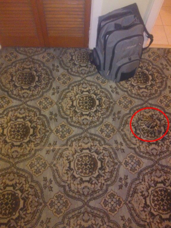 -EE8CExFJT6nSbKfLnfDsIF4FbAPGZNGswwgl53yee0