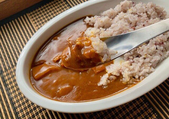 ダイソー カレー皿 斜め すくいやすい