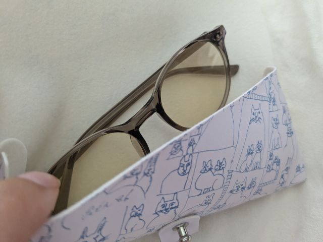 ケースとサングラス