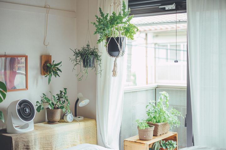 初めての一人暮らしは1K20㎡台が人気！ IKEAの万能ラックなどを活用したオシャレなインテリア3選