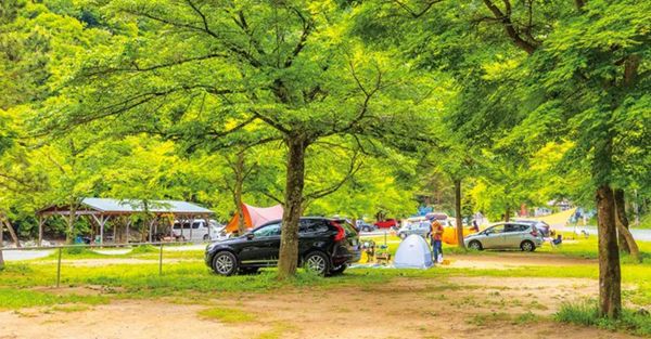 【読者アンケート】 人気キャンプ場ランキング【東日本ベスト15】