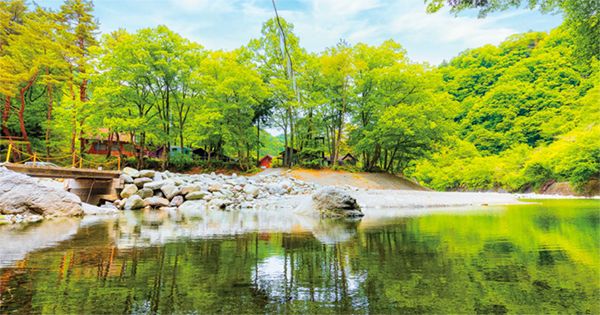 【読者アンケート】 人気キャンプ場ランキング【東日本ベスト15】