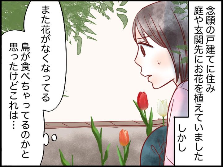 画像1: 庭の花がなくなる……犯人は？