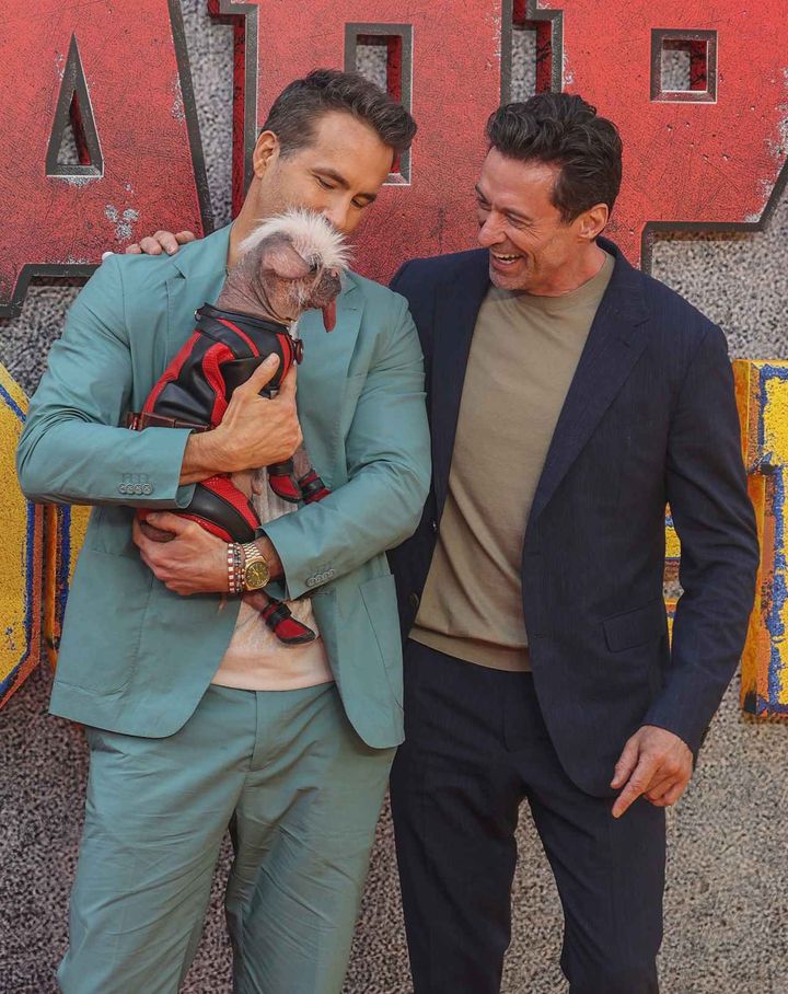 画像2: ロンドンプレミアにドッグプールが登場